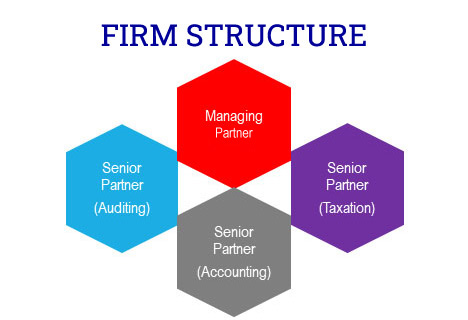 TAP Firm Structure